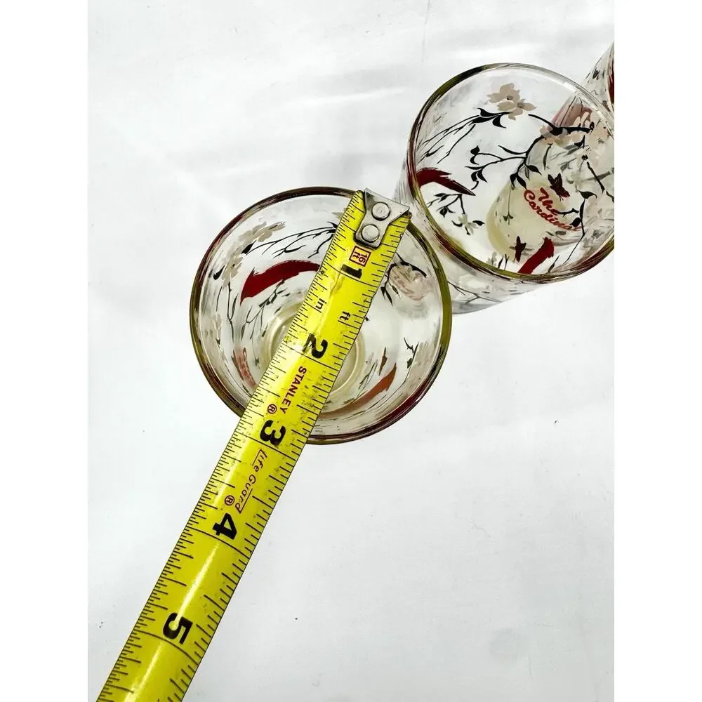 Vintage Hazel Atlas Pitcher Set Cardinal and Dogwood Pitcher and 5 Glasses